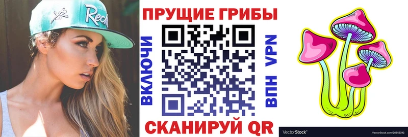 мега маркетплейс  Новосокольники  Псилоцибиновые грибы MAGIC MUSHROOMS 